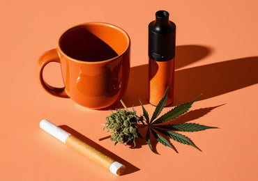 Comment bien consommer nos fleurs de CBD ?