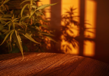 CBD français vs CBD importé : ce que personne ne vous explique vraiment