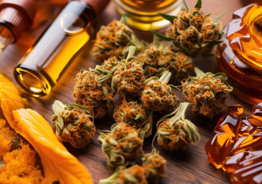 Quand et pourquoi prendre du CBD ?