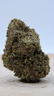 Fleur de CBD Amnésia Greenhouse