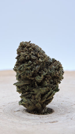 Cannatonic Greenhouse