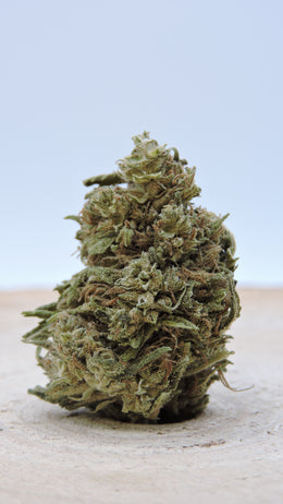 Forest Bud CBD Greenhouse