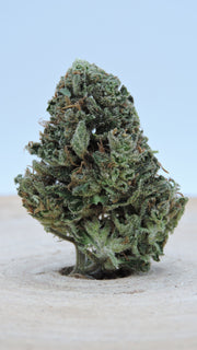 Mango Haze Greenhouse