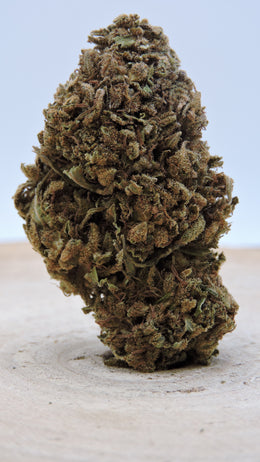 Peach Mint Kush Greenhouse