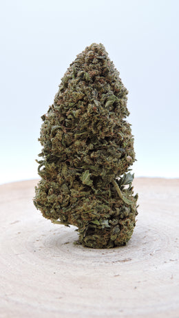 Tropicale Tonic Hydro