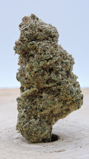 Yoda Indoor ⚠️ SOLD OUT ⚠️